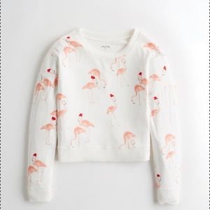 Hollister Gilly Hicks NWT sweater!
